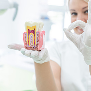 The image shows a person holding up a model of a tooth with an open crown, possibly demonstrating dental work or presenting a dental product.